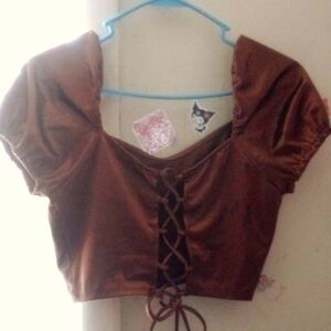 [NWT] Satin Brown Bronze Adorable Crop Top.